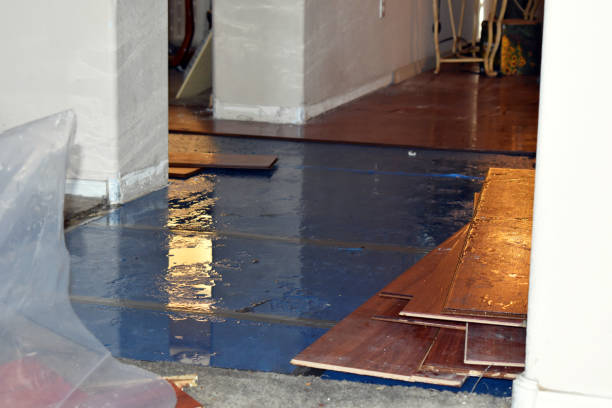 Professional Water Damage Repair technician working in Central City, IA